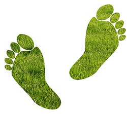 Two footprints of green grass