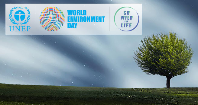 World Environment Day 2016 logo