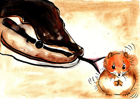 snake about to attack a hamster illustration (society matters)