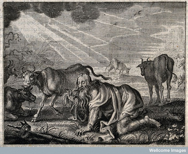 Nebuchadnezzar, gone mad, grovels like a beast of the earth; he gropes for his crown. Dutch engraving, c. 17th century.