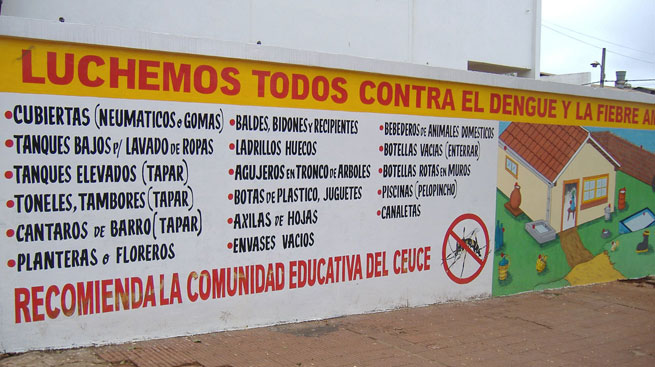 A public health announcement about dengue and yellow fevers in Paraguay