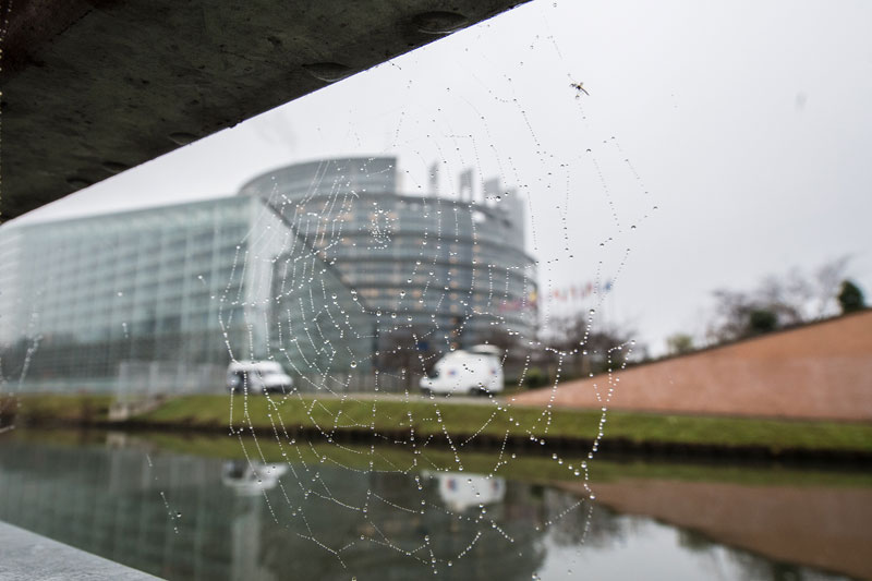 A spider's web with the European Parliament in the background