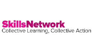 The Skills Network logo
