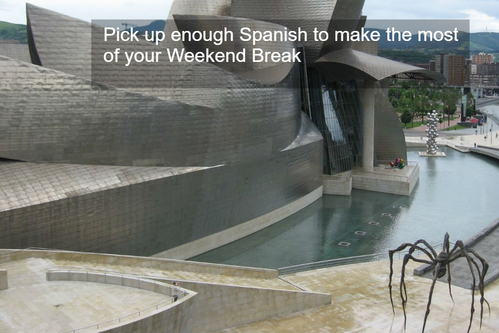 The Bilbao Guggenheim