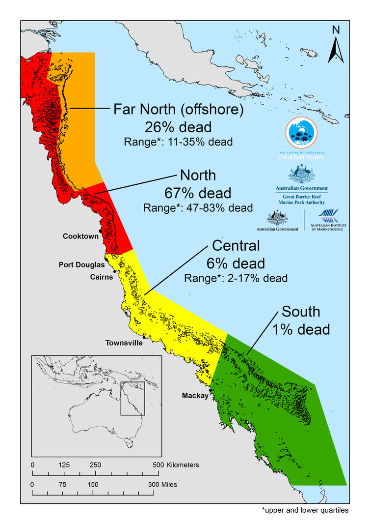 Graphic illustrating data in article showing death on the Great Barrier Reef