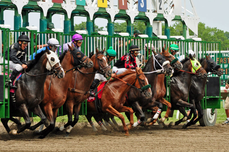 Horses leave the starting gates during a race