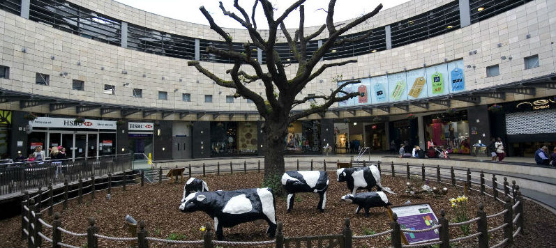 Concrete Cows, 2012 Intu shopping centre 