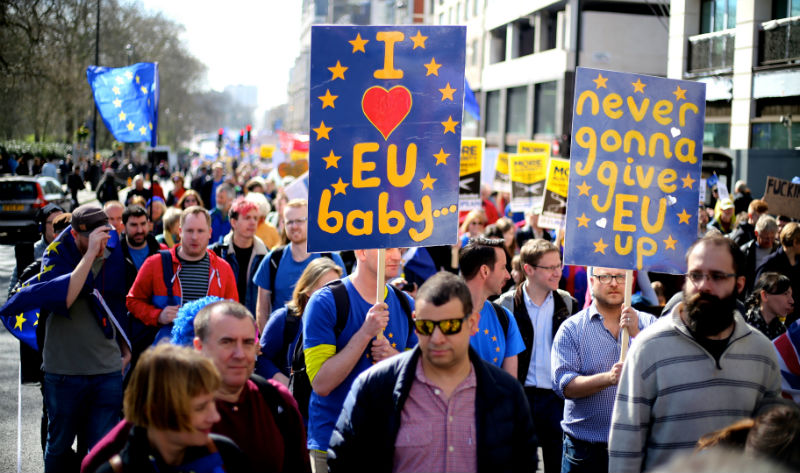 Image of Brexit protest, Westminster