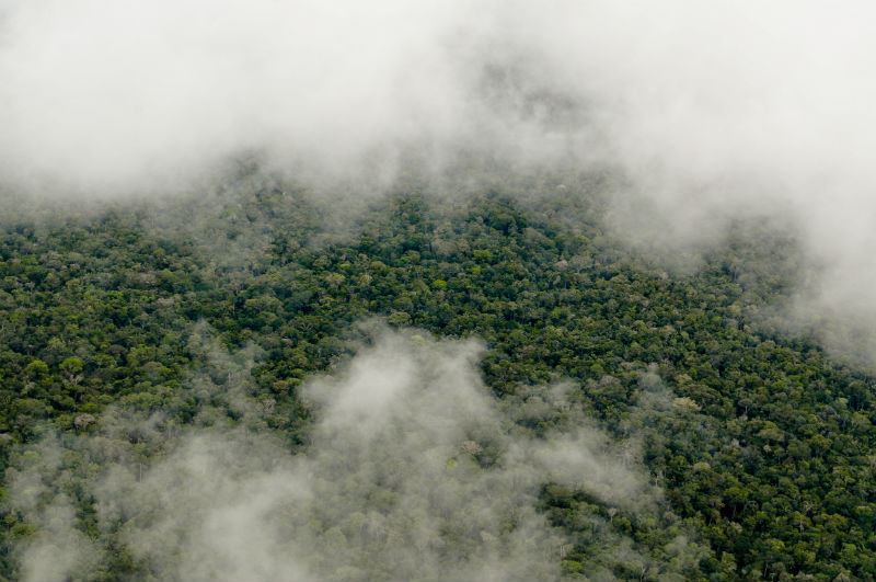 Aerial view of the Amazon rainforest, near Manaus, the capital of the Brazilian state of Amazonas. Brazil.