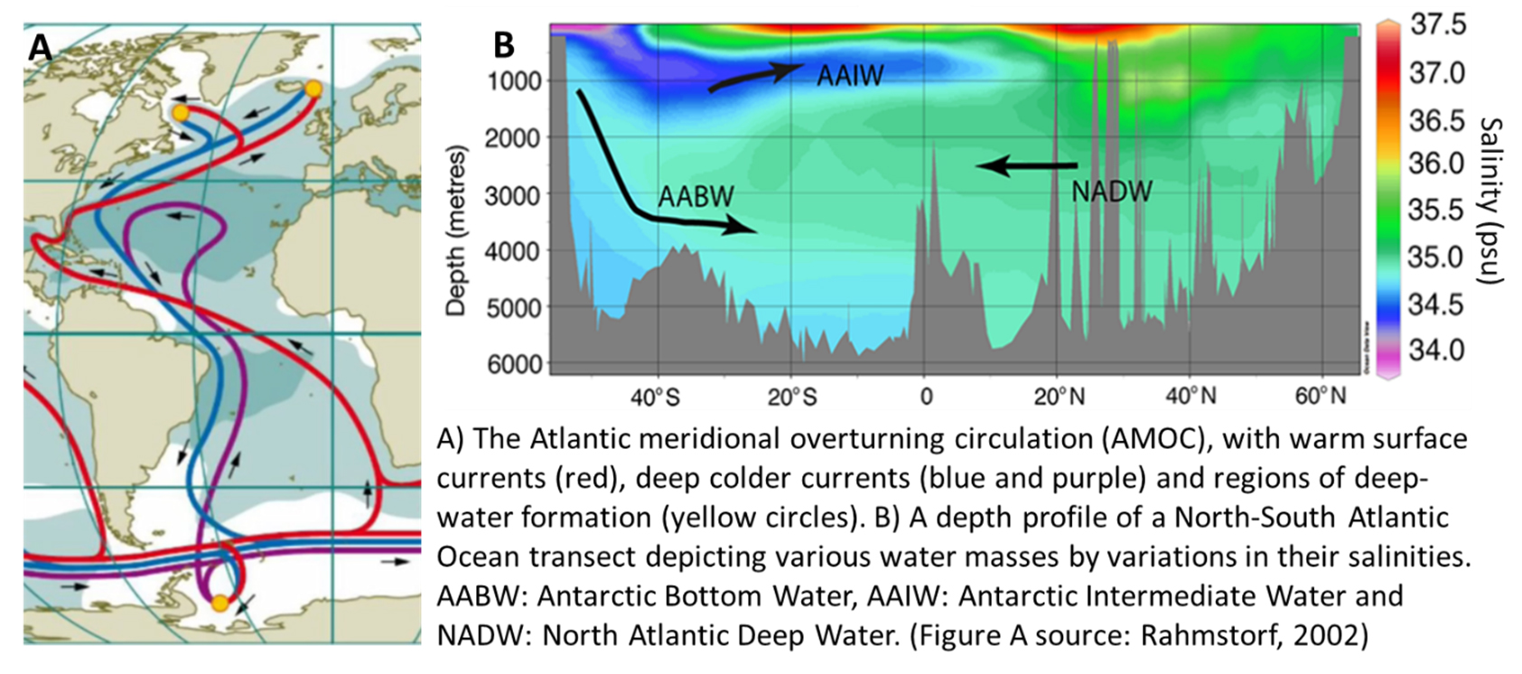 Oceans, Circulation and AMOC Graph 