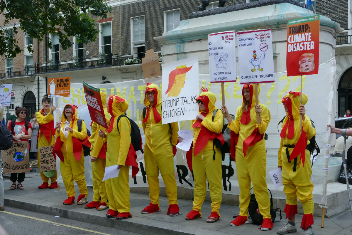 Chickens protesting against Donald Trump during a 2018 march in London