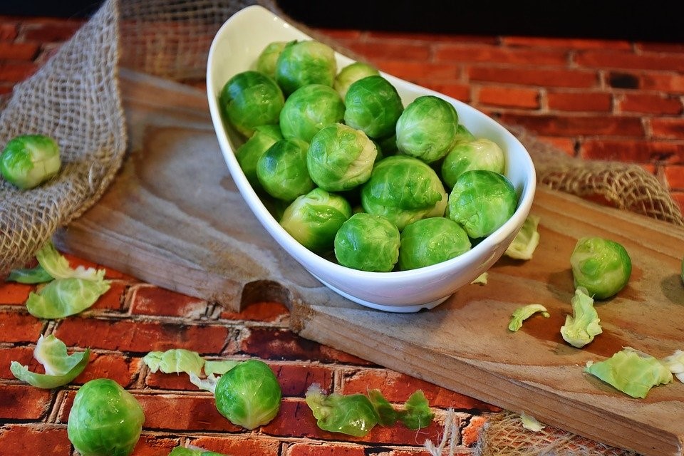 Sprouts in a bowl
