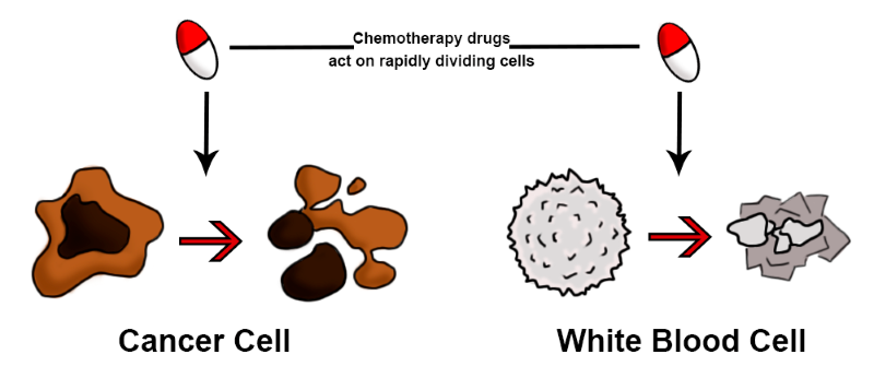 chemotherapy diagram