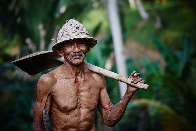 old man with a shovel (asian)