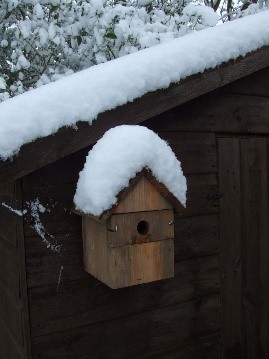 Bird boxes can provide shelter for birds during the winter