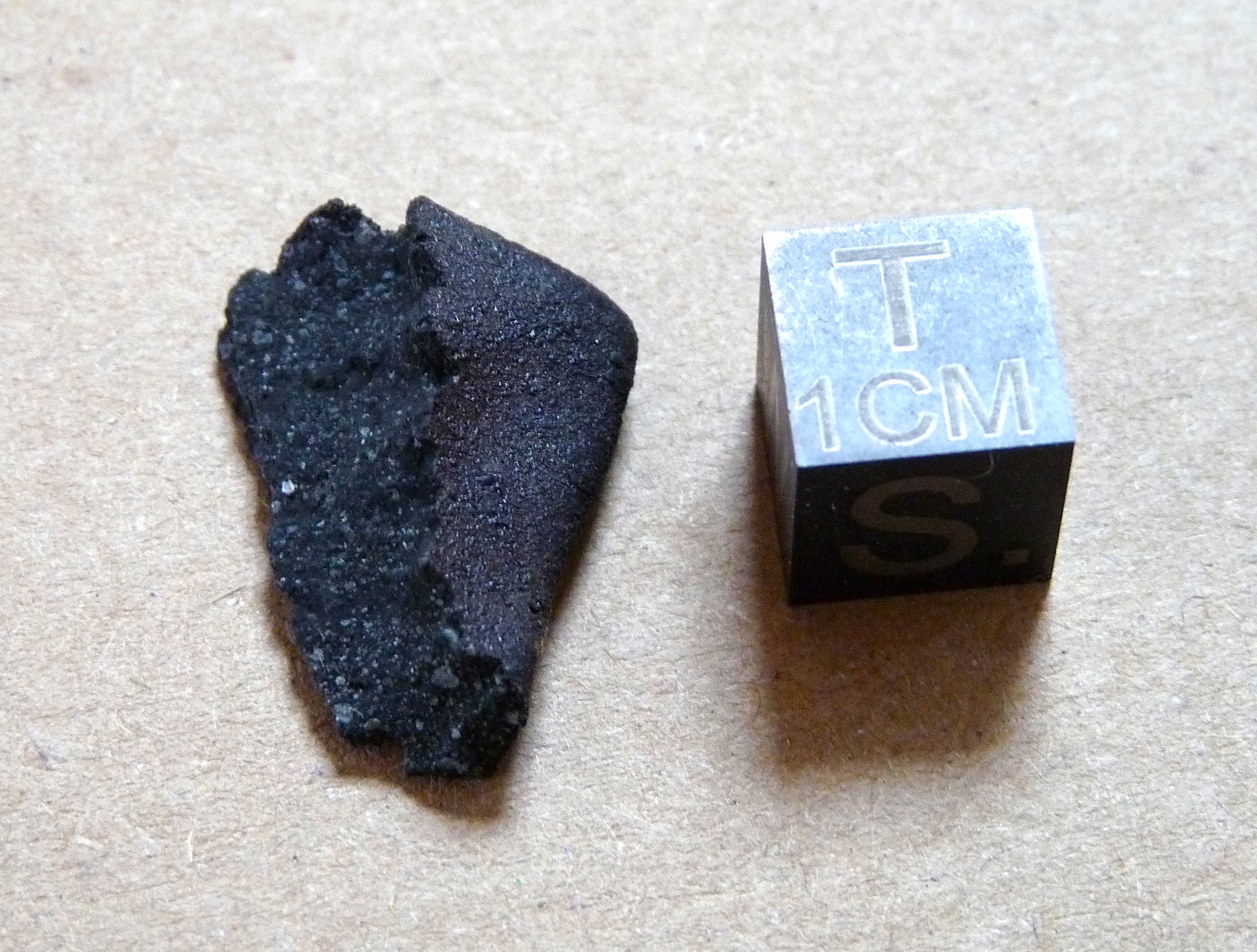 A small fragment of the Aguas Zarcas meteorite
