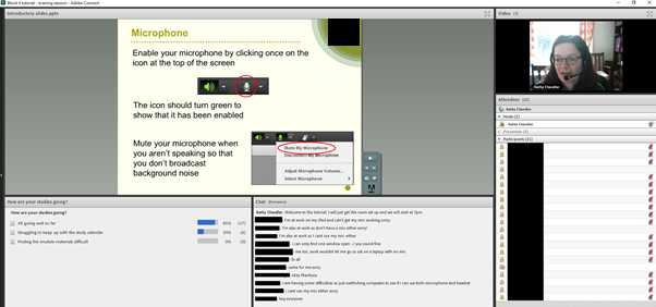 Screen presentation of online learning
