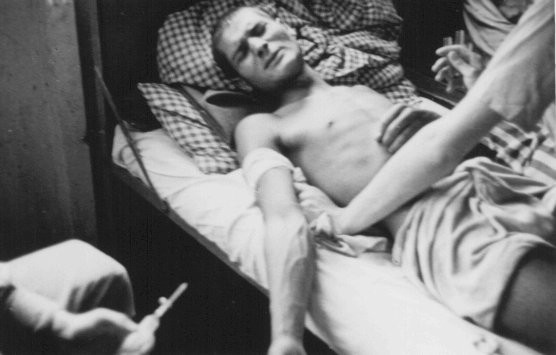 Roma victim of Nazi ‘medical’ experiment