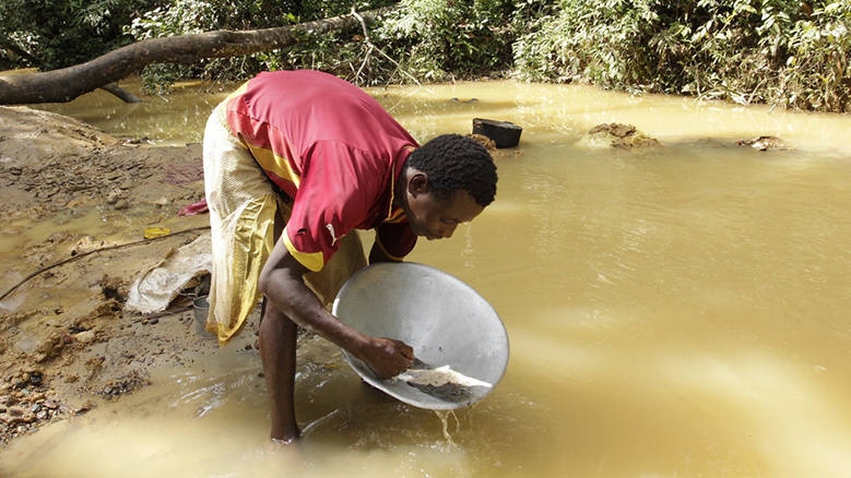 A man is stood at the edge of a patch of muddy yellow coloured water bending over as he looks at something in a silver metal bowl. He is panning for gold. There is a bare tree in the background that leans across the water and bushes along the side of the river bank.