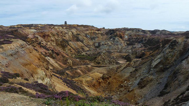 The view shows another mountain mine, this one in Wales with a purple plant in the foreground and a pit of rusty-gold behind it. 