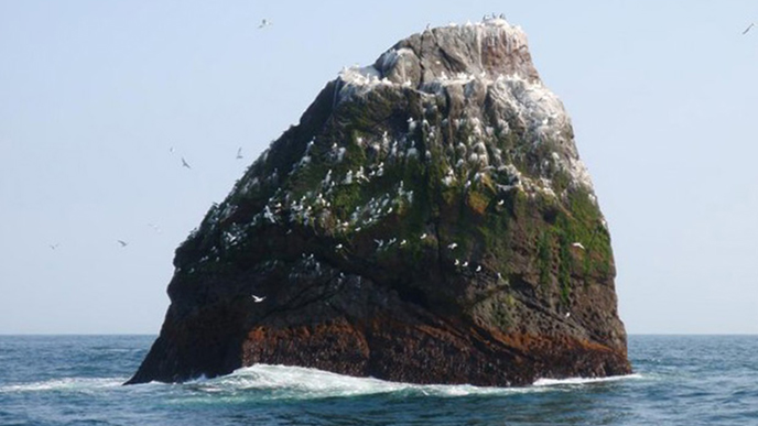 Rockall with birds flying