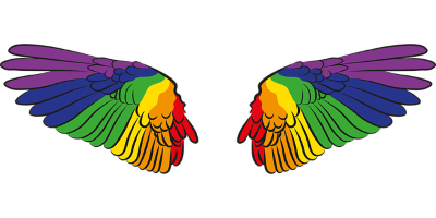 a pair of wings, separated, in a rainbow of colours