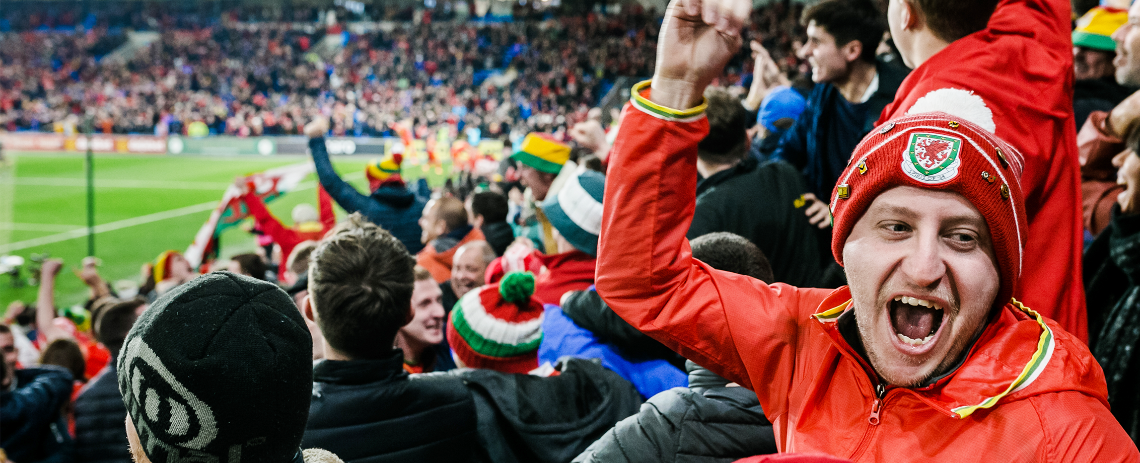 Welsh Fans celebrate during a Euro 2020 qualifier between Wales and Hungary at Cardiff City Stadium.