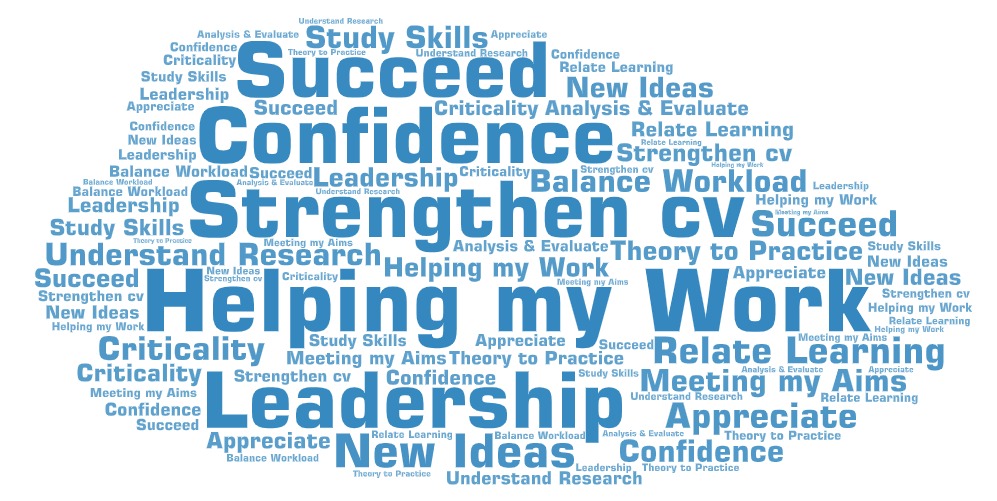 A word cloud from some students when studying the Masters in Education programme.