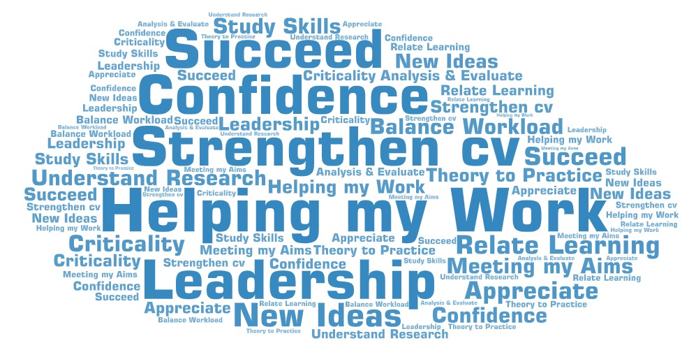 A word cloud from some students when studying the Masters in Education programme.