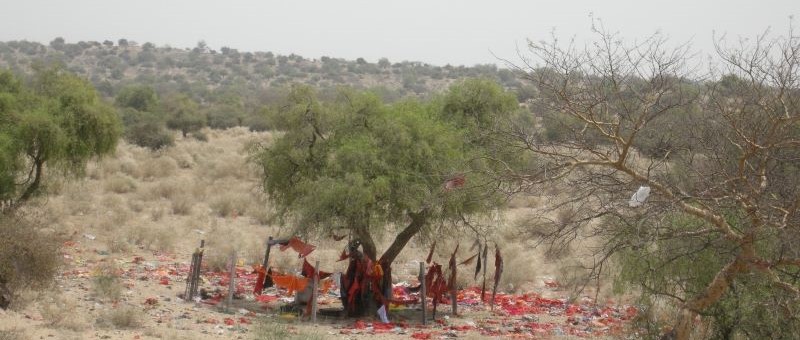 A sacred site in the semi-arid desert of Rajasthan, India