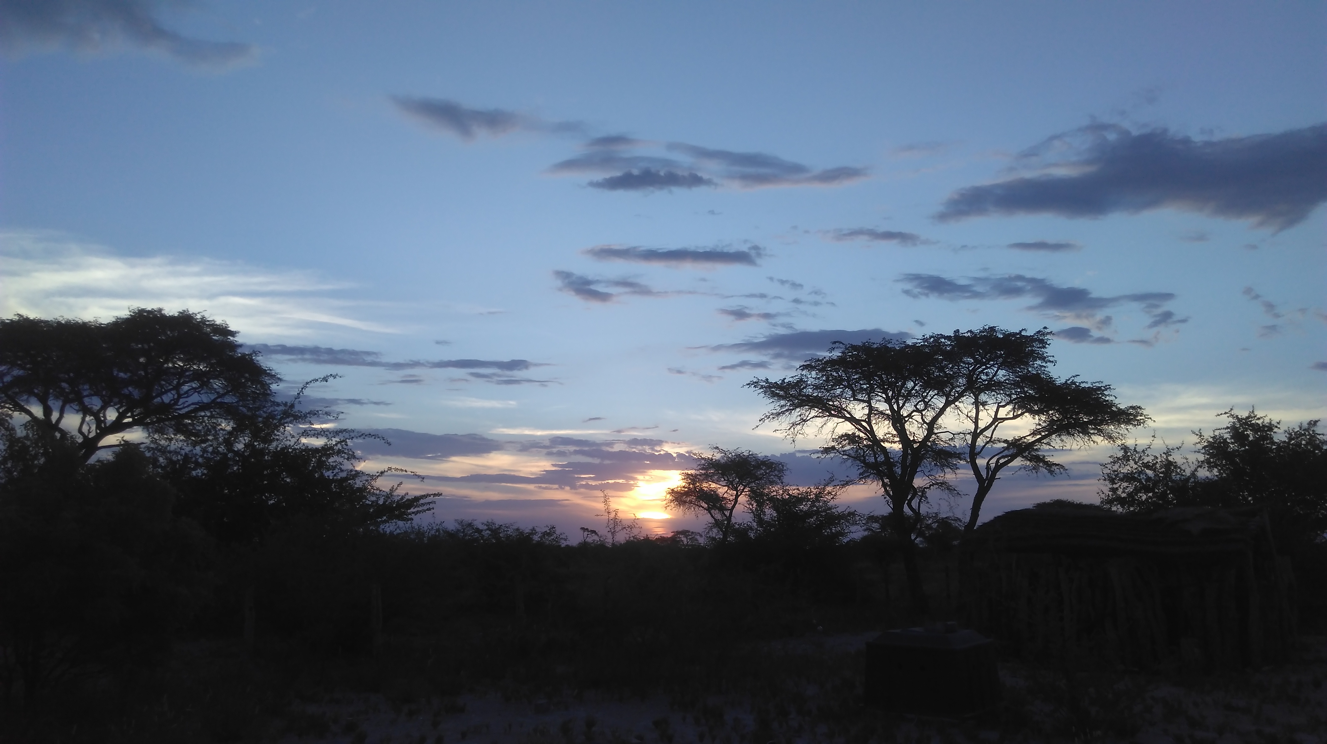 Early evening, Sua Pan, in the area where the team was camping. January 2020