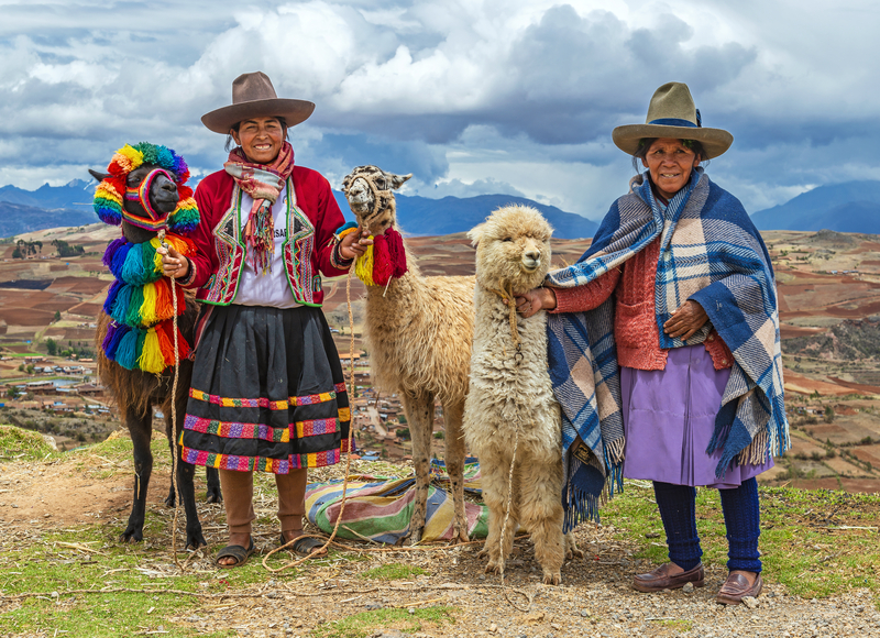 Quechua Indigenous Women in traditional clothes with their domestic animals, two llama and one alpaca, Sacred Valley, Cusco, Peru