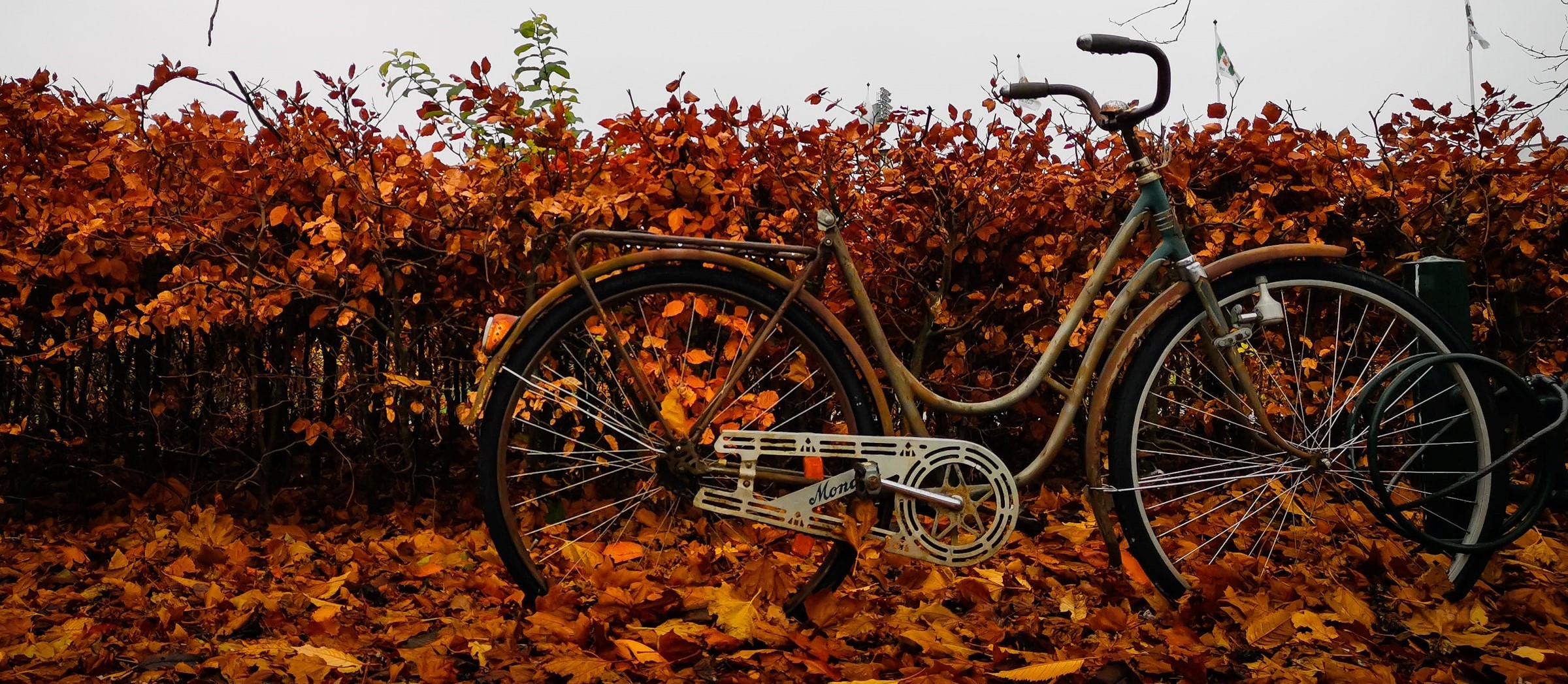 Dying wellbeing bicycle