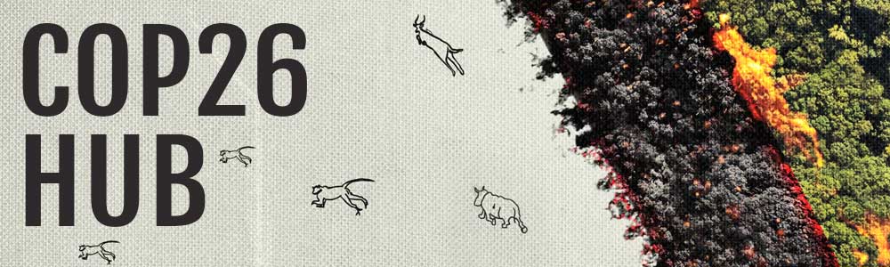 Screenshot of animation for COP26