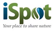 iSpot website
