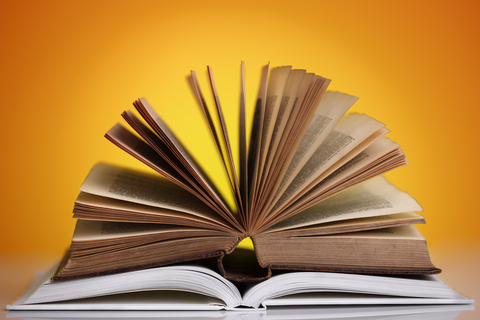 Want to study English Literature?