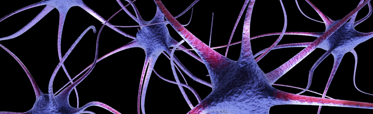 Science, Maths and Technology