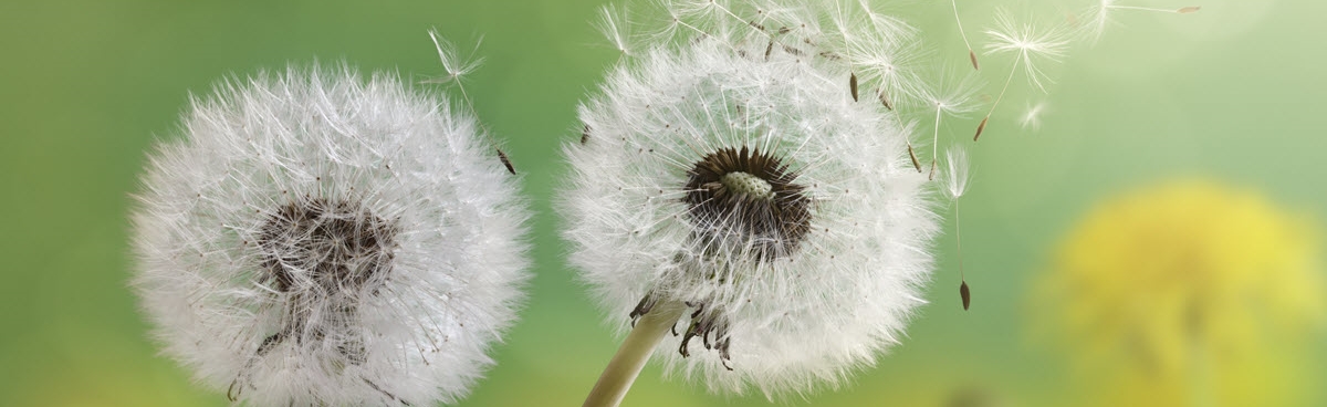 Nature and Environment