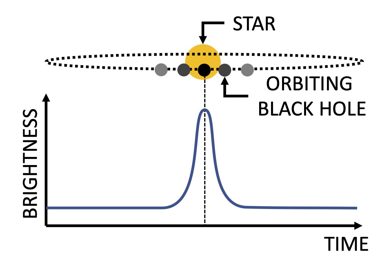 The light from a star is magnified when the black hole passes in front of it. This creates a distinctive peak in the lightcur