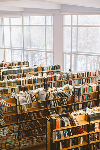 Photograph of bookcases next to a large bright window.