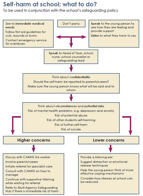 A flow chart describing the options for a person self-harming at school.