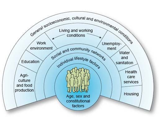 A diagram with age, sex and constitutional factors at the centre with different determinants surrounding it.