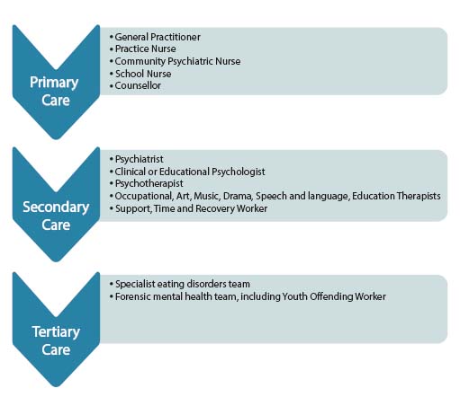 A diagram of three rows: primary care, secondary care and tertiary care.
