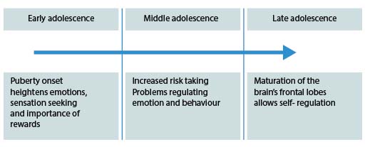 Diagram showing the trajectory for early adolescence through to late adolescence.