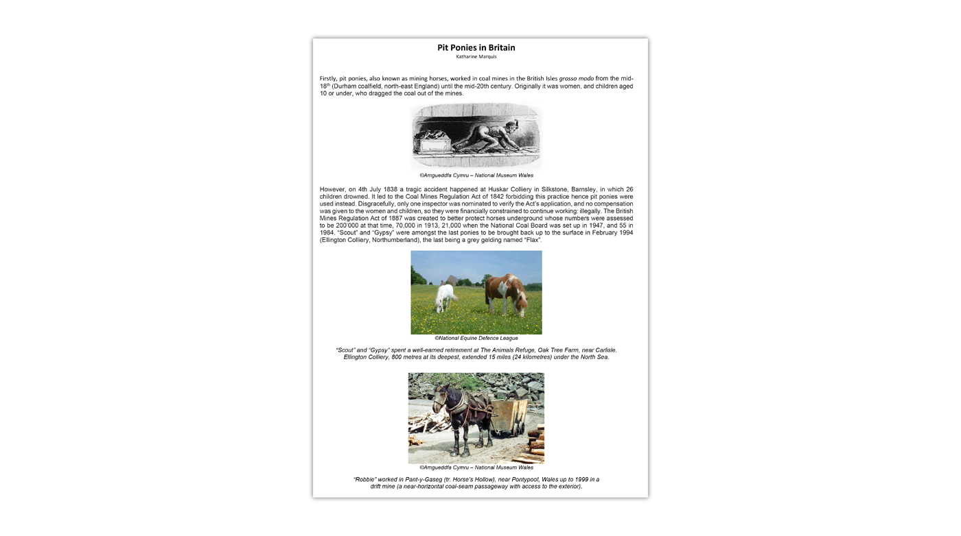 A preview image of the ‘Pit Ponies in Britain’ PDF