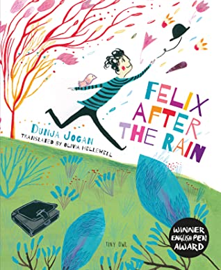 Book cover of Felix after the rain by Dunja Jogan