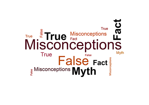 A wordle showing words associated with the word ‘myth’, such as misconceptions, fact, true, false.