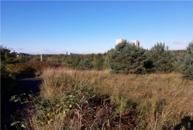 Photograph of Bellahouston Park, Glasgow.