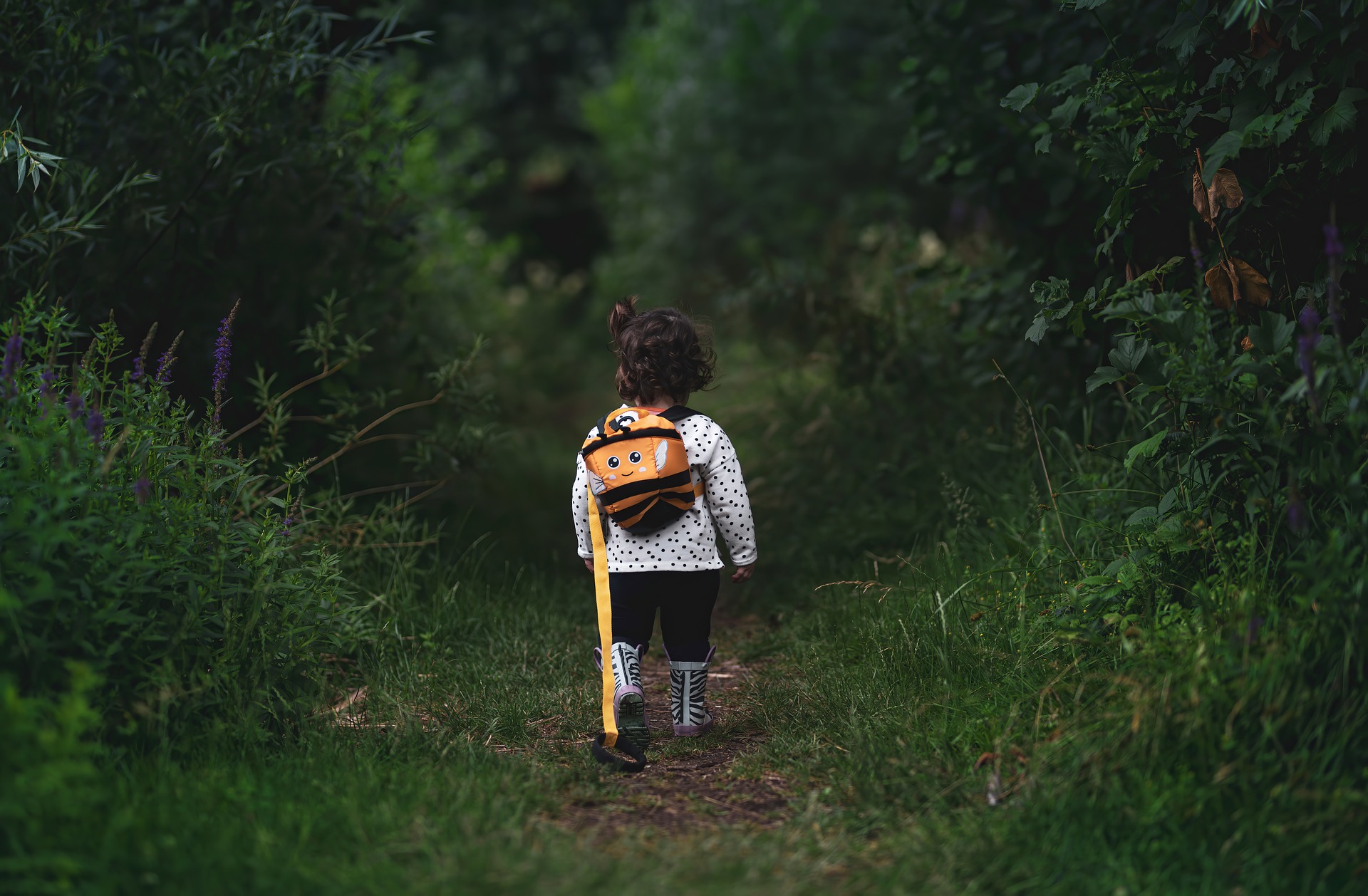 Young child on a woodland path