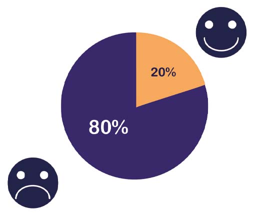 A pie chart split into 80 per cent and 20 per cent